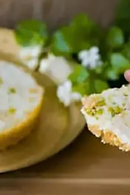 Explore Rajasthani cuisine with dishes like Jungle Venison Curry and Laal Maas. Top restaurant for real flavours Zari Restaurant in Crawley.