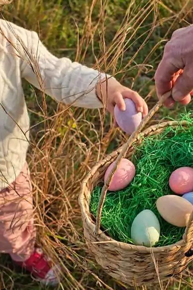 Half term plans discover the best easter events in West Sussex best restaurants