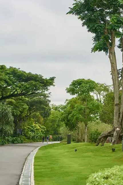 Explore top things to do in Horsham. From history and nature to family fun and dining, find the best activities for your day out.