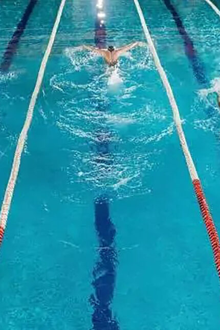 Plan perfect May Bank Holiday in West Sussex, discover 10 exciting events near Brighton plus BBQ, dine-in, takeaway Zari Restaurant Crawley.